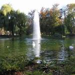 Bad Kösen, Ententeich mit Springbrunnen im Kurpark