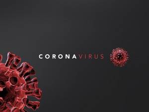Corona-Virus-Symbolbild.jpg