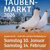 Naumburger Taubenmarkt am 14. Februar 2026