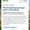 Pflanzenspaziergang im Bürgergarten am 30. Mai