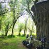 Seggy-Tours Laube