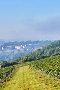 Yoga mit Sandra &copy;Sandra Stock