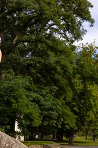 Yoga mit Sandra &copy;Sandra Stock