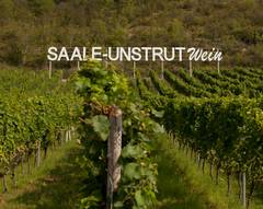 Weinbauverband