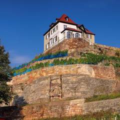 Steinauer Weinberg und Steinernes Album
