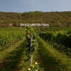 Weinbauverband
