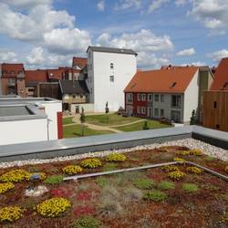 Naumburg - historisch,  modern, ökologisch