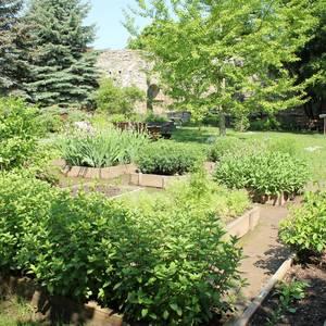 Museum Kloster und Kaiserpfalz Memleben