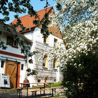 Weingut Prof. Wartenberg &copy;Weingut Prof. Wartenberg