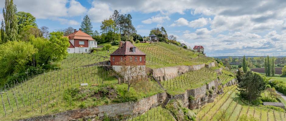Blick auf den Max-Klinger-Weinberg &copy;Falko Matte