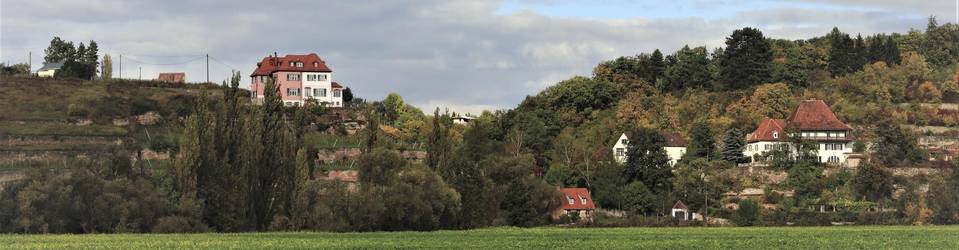 Blick auf den Naumburger Blütengrund ©Stadt Naumburg (Saale)